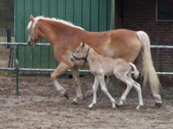 Alonso met moeder Gemma 