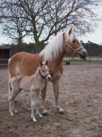 Gemma met Alonso een dag oud 